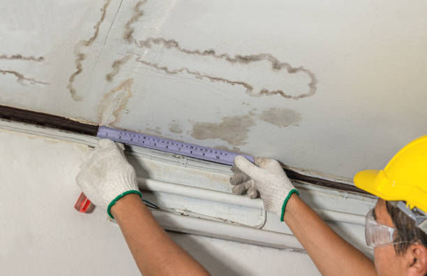 Reliable Water Damage contractor in Pine Level, NC by Water Damage Irwin